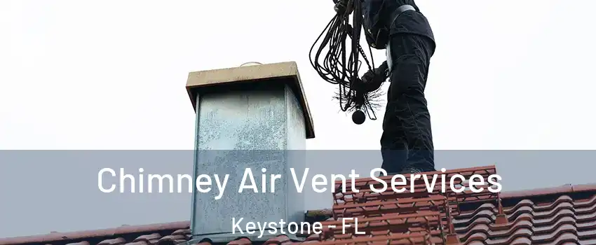  Chimney Air Vent Services Keystone - FL