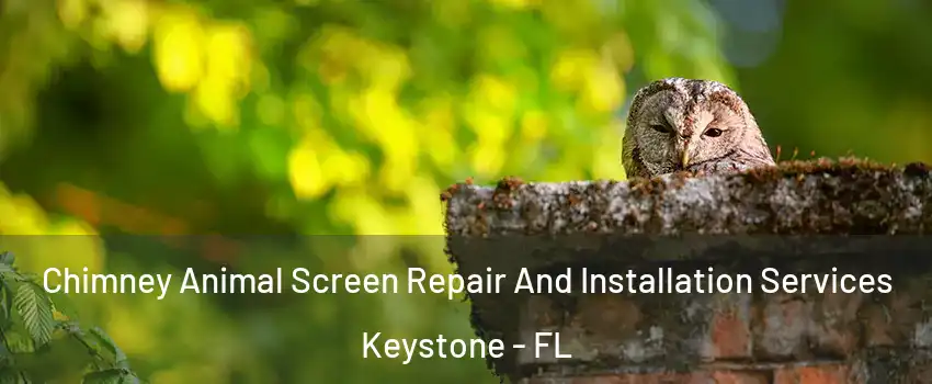  Chimney Animal Screen Repair And Installation Services Keystone - FL