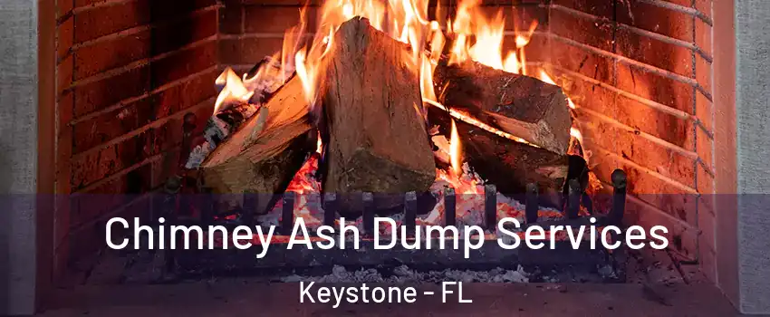  Chimney Ash Dump Services Keystone - FL