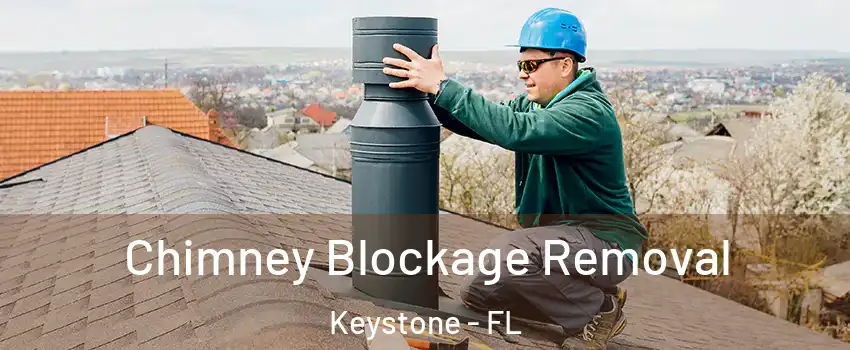  Chimney Blockage Removal Keystone - FL