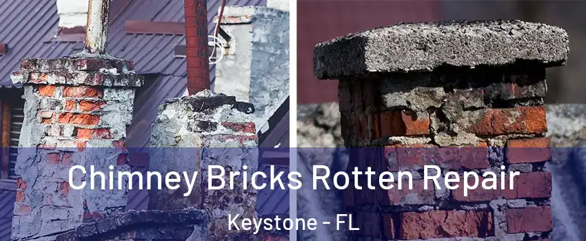  Chimney Bricks Rotten Repair Keystone - FL