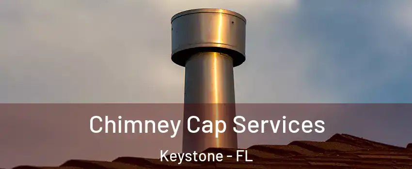  Chimney Cap Services Keystone - FL
