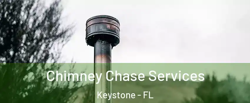  Chimney Chase Services Keystone - FL