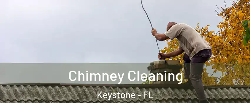  Chimney Cleaning Keystone - FL