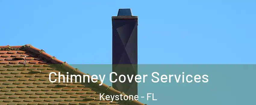  Chimney Cover Services Keystone - FL