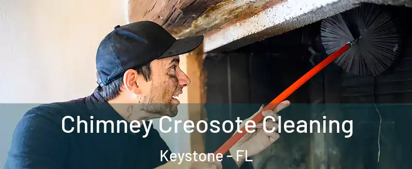  Chimney Creosote Cleaning Keystone - FL