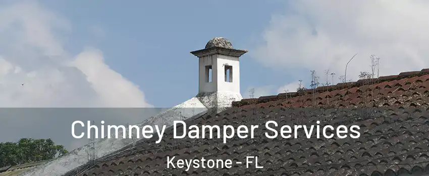 Chimney Damper Services Keystone - FL