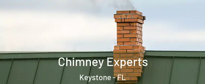 Chimney Experts Keystone - FL