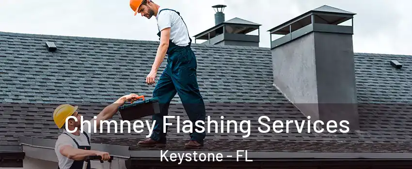  Chimney Flashing Services Keystone - FL