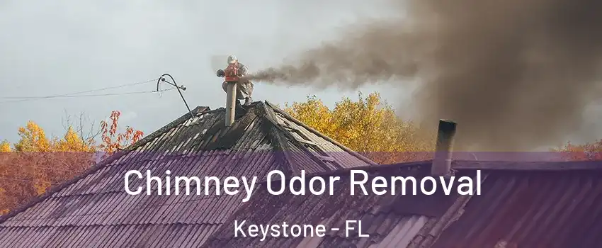  Chimney Odor Removal Keystone - FL