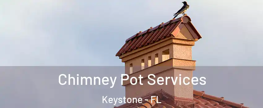  Chimney Pot Services Keystone - FL