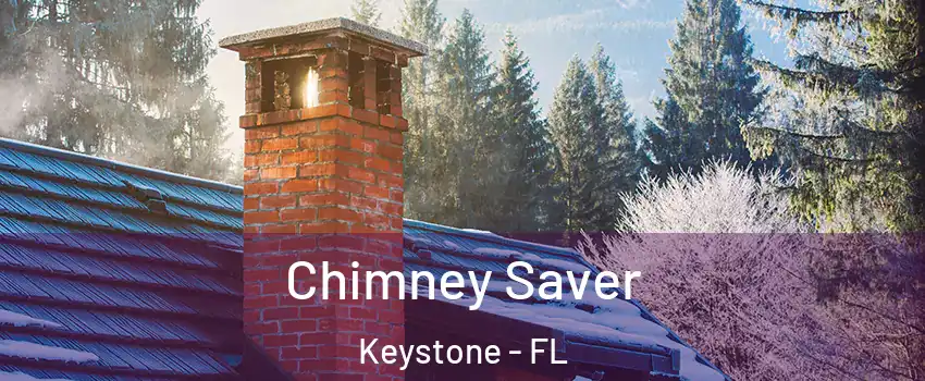  Chimney Saver Keystone - FL