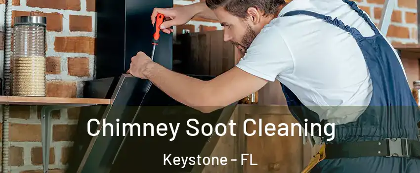  Chimney Soot Cleaning Keystone - FL