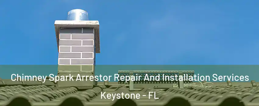  Chimney Spark Arrestor Repair And Installation Services Keystone - FL