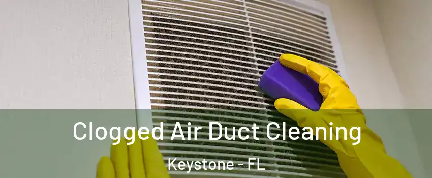  Clogged Air Duct Cleaning Keystone - FL