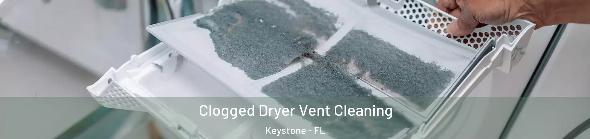  Clogged Dryer Vent Cleaning Keystone - FL