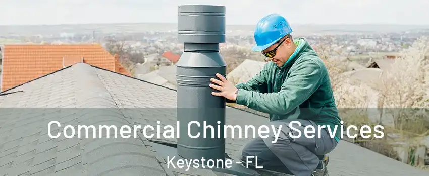  Commercial Chimney Services Keystone - FL