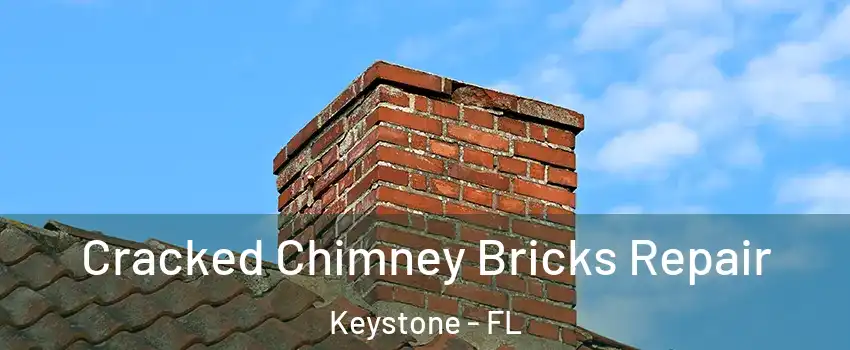  Cracked Chimney Bricks Repair Keystone - FL
