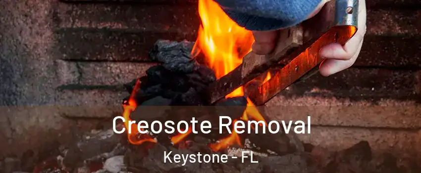  Creosote Removal Keystone - FL