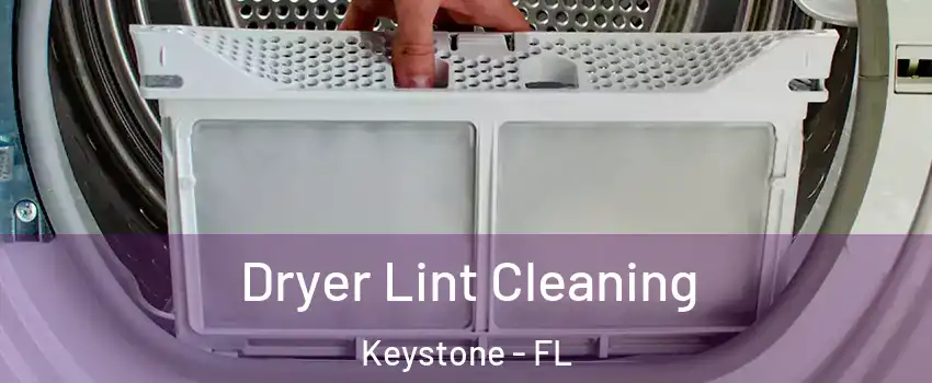  Dryer Lint Cleaning Keystone - FL