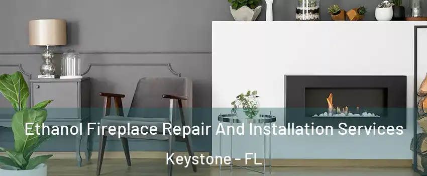  Ethanol Fireplace Repair And Installation Services Keystone - FL