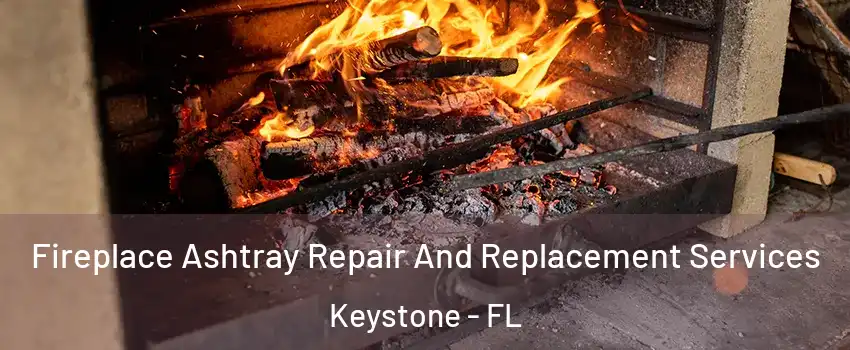  Fireplace Ashtray Repair And Replacement Services Keystone - FL