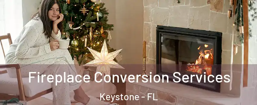  Fireplace Conversion Services Keystone - FL
