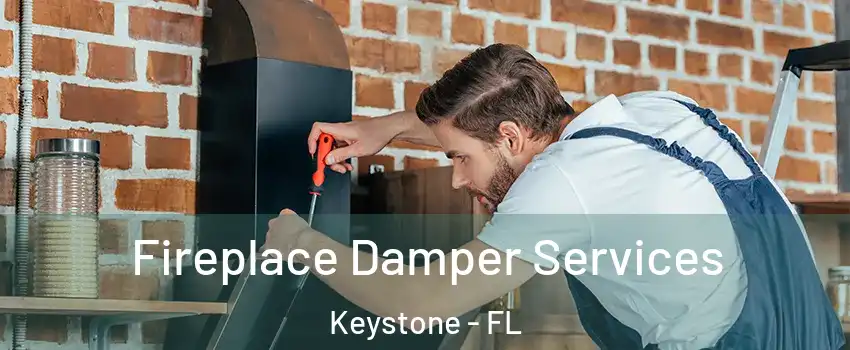  Fireplace Damper Services Keystone - FL