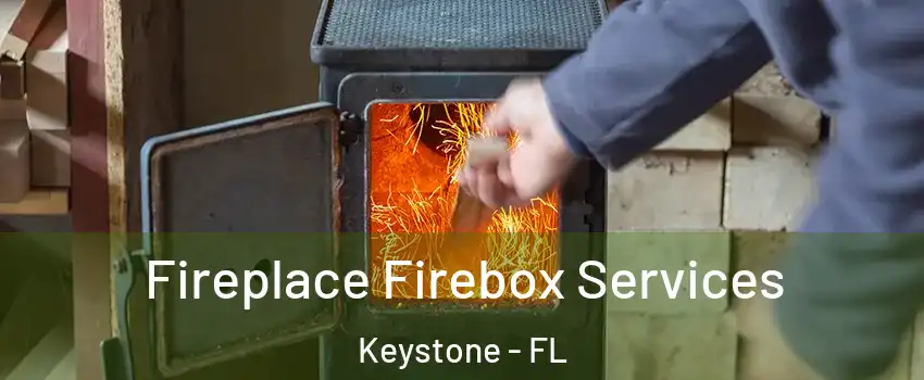  Fireplace Firebox Services Keystone - FL