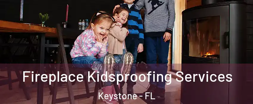  Fireplace Kidsproofing Services Keystone - FL