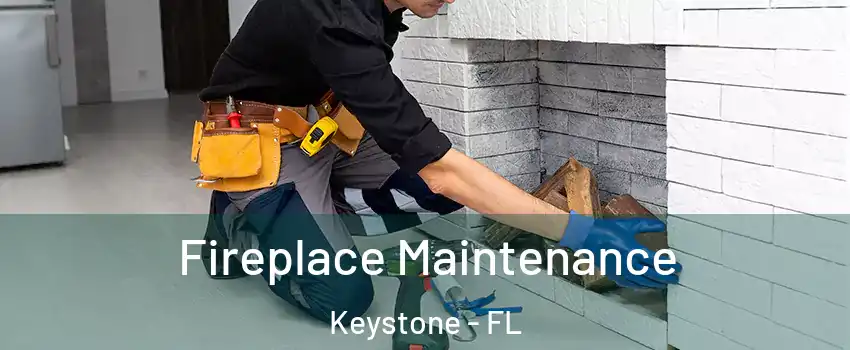  Fireplace Maintenance Keystone - FL