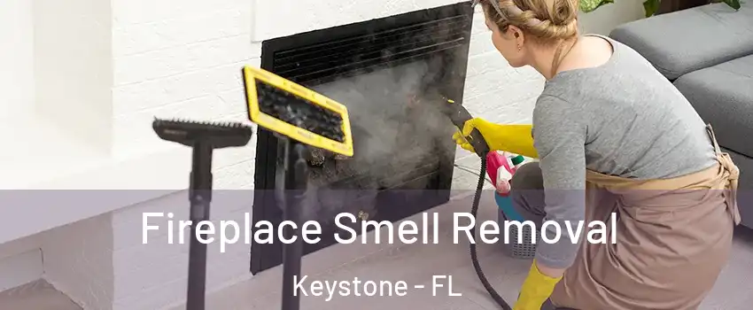  Fireplace Smell Removal Keystone - FL