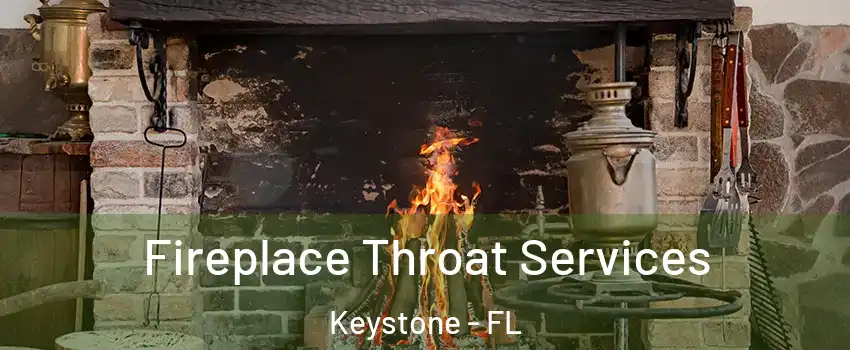  Fireplace Throat Services Keystone - FL