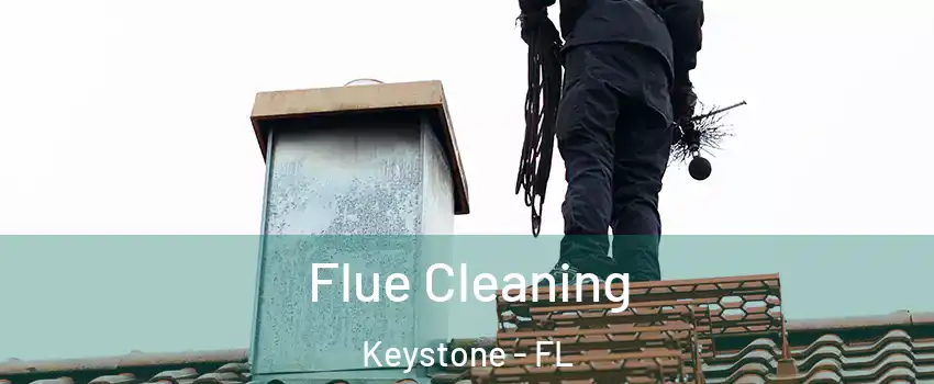  Flue Cleaning Keystone - FL