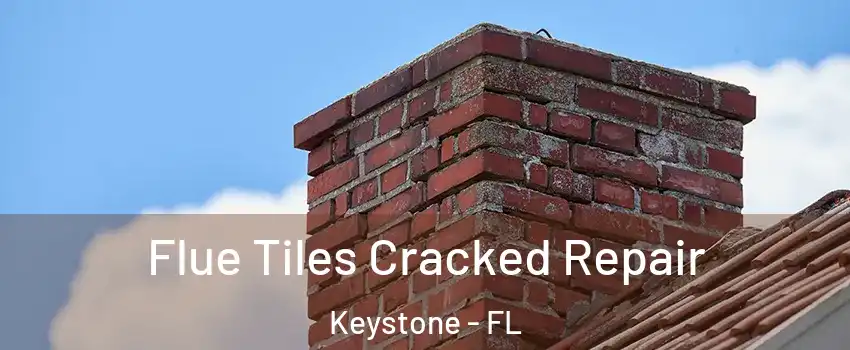  Flue Tiles Cracked Repair Keystone - FL