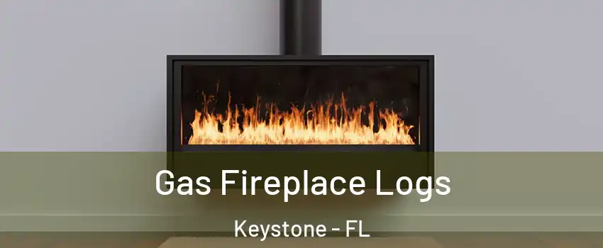  Gas Fireplace Logs Keystone - FL