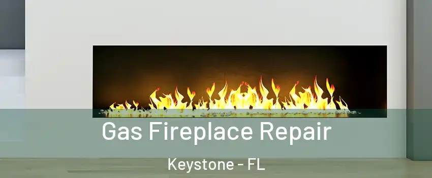  Gas Fireplace Repair Keystone - FL