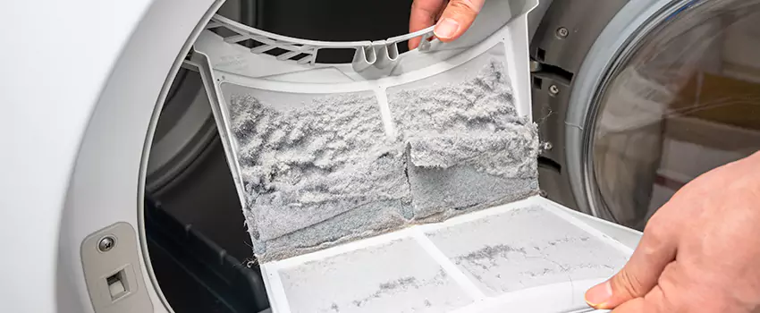 Best Dryer Lint Removal Company in Keystone, Florida
