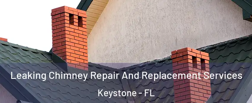  Leaking Chimney Repair And Replacement Services Keystone - FL