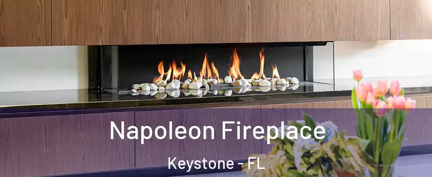  Napoleon Fireplace Keystone - FL