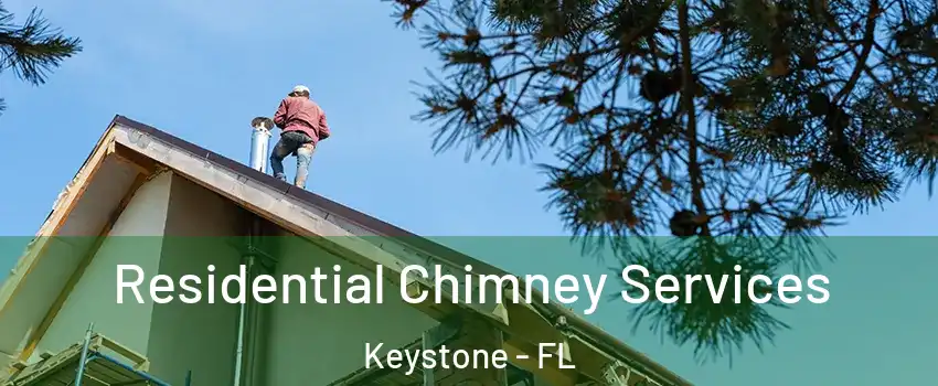  Residential Chimney Services Keystone - FL