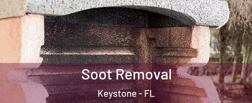  Soot Removal Keystone - FL