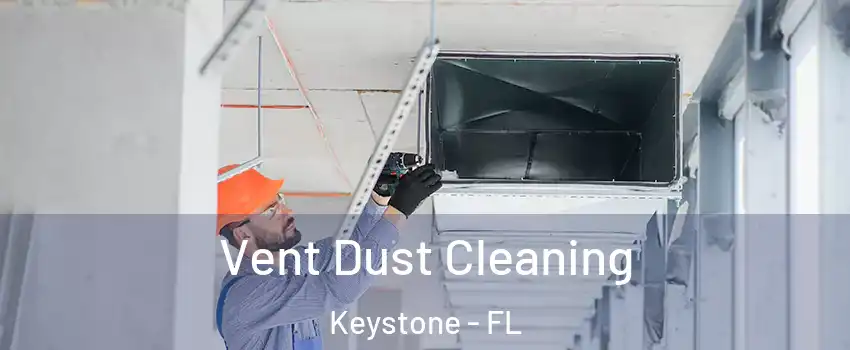  Vent Dust Cleaning Keystone - FL