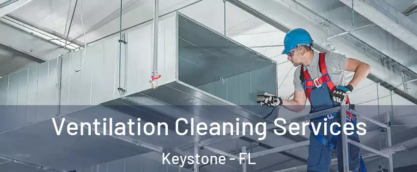  Ventilation Cleaning Services Keystone - FL