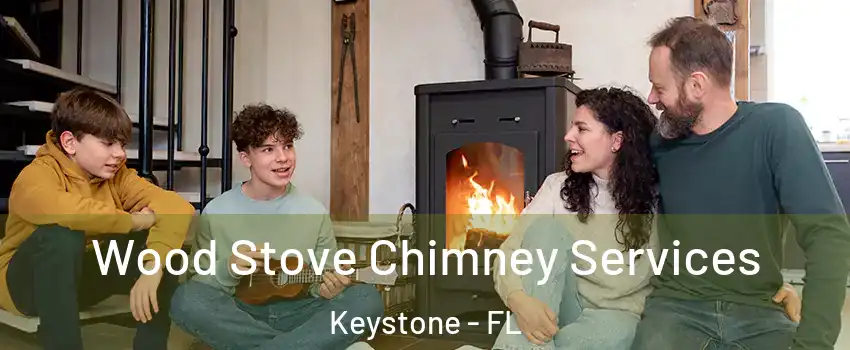  Wood Stove Chimney Services Keystone - FL