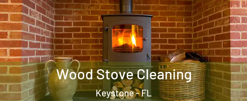  Wood Stove Cleaning Keystone - FL